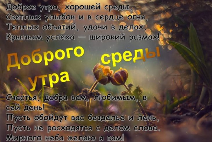 Открытки